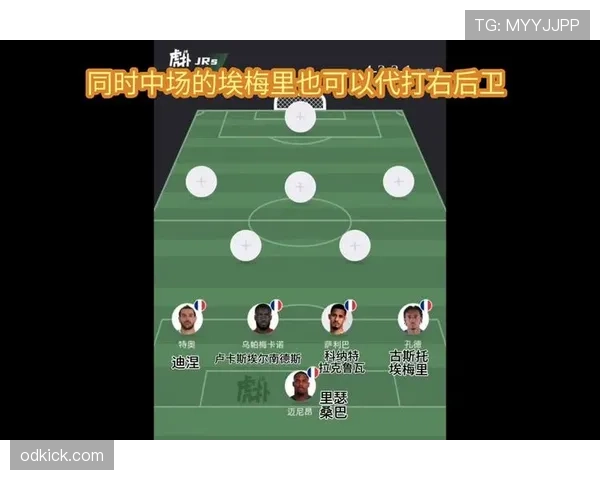 法国国家队近期比赛进程与表现分析，欧洲杯备战过程中的阵容变动与战术方向