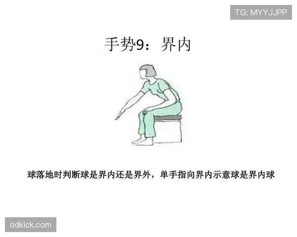 球碰裁判算谁的球权？规则解析来了